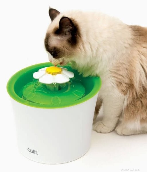 Keep Your Cat Hydrated with the CatIt Flower Fountain – Fresh, Clean Water Anytime