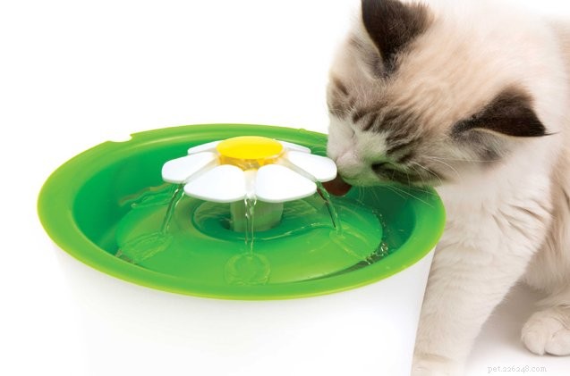 Keep Your Cat Hydrated with the CatIt Flower Fountain – Fresh, Clean Water Anytime