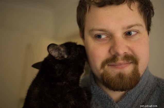 UK Pet Trends: Cat Ownership Rises, Fish Remain Most Popular Choice