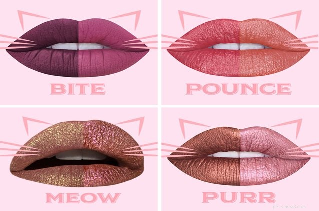 Lime Crime s Kitty Bundles Lipstick: Chic Cosmetics Supporting Cats