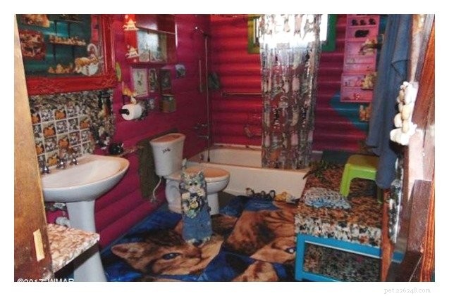Explore the Ultimate Cat-Themed Home: Wall-to-Wall Décor in Arizona