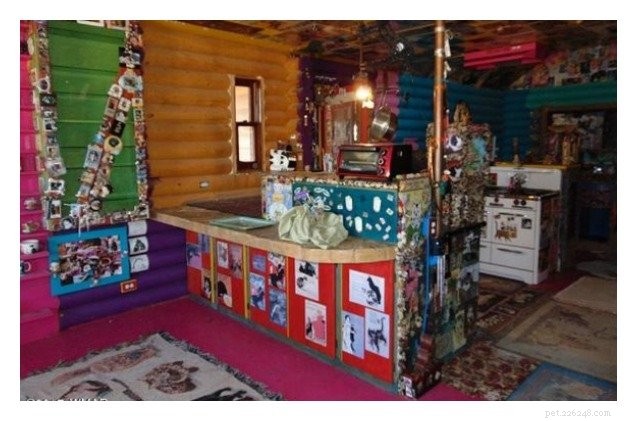 Explore the Ultimate Cat-Themed Home: Wall-to-Wall Décor in Arizona