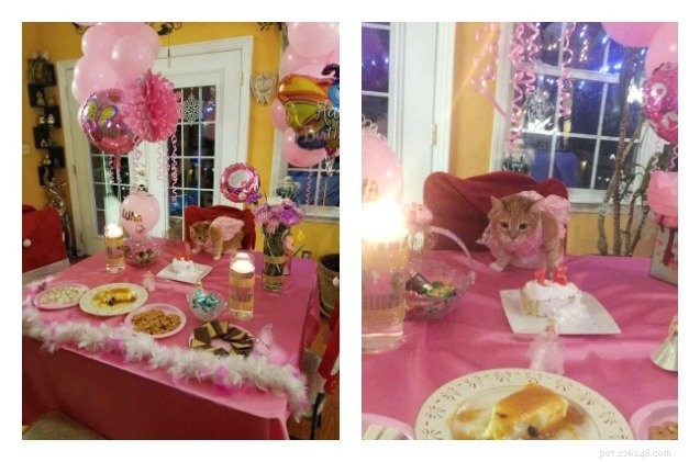 Cat Turns 15 in Glamorous Quinceañera Celebration
