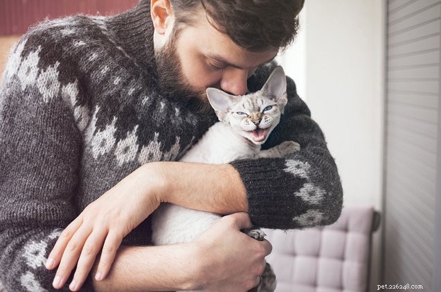 10 Adorable Cats That Deserve a Hug