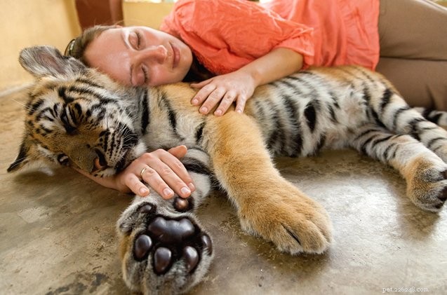 10 Adorable Cats That Deserve a Hug