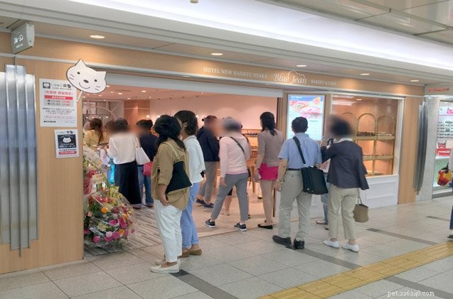 Japan s New Cat-Friendly Bread Sets a New Standard for Pet-Friendly Treats