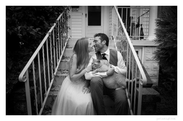 Adorable Tubby Tabby Captivates Hearts in Newlywed Couple s Wedding Photos