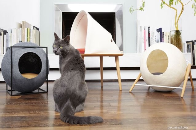 Budding Designers Invited to Create Award-Winning Sustainable Cat Bed – Win $1,500 & Production Opportunity