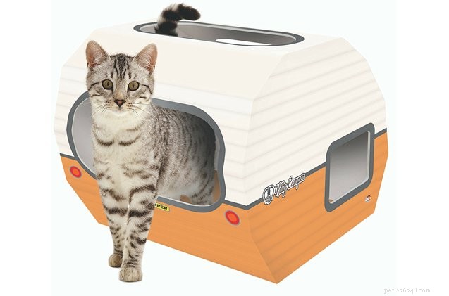 Retro Cardboard Kitty Camper: The Ultimate Indoor Camping Experience for Cats