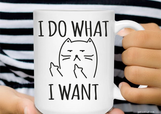 10 Best Etsy Finds to Delight Your Cat