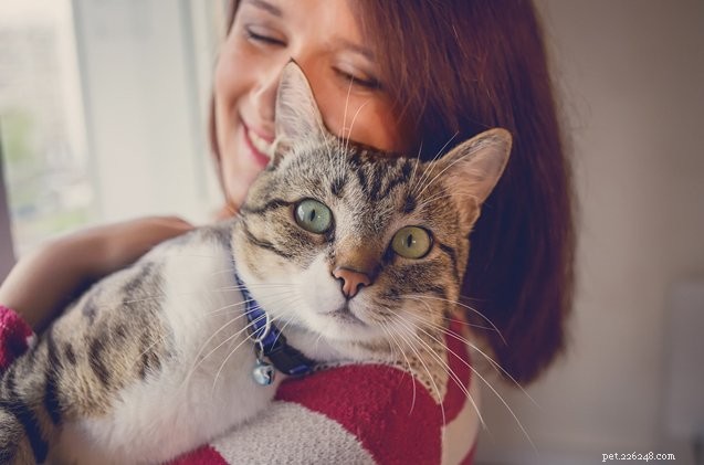 Discover Why Your Cat Loves Spending Time With You