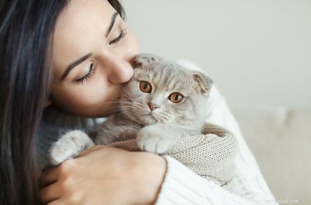 5 Irresistible Ways Cats Win Our Hearts