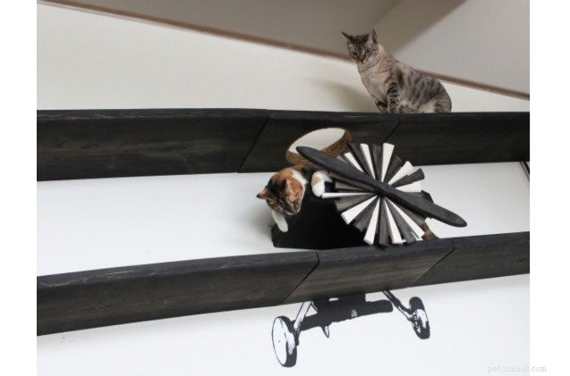 Indiana Jones-Inspired Cat Furniture: Let Your Kitty Explore Adventures