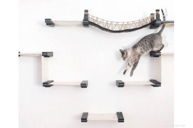 Indiana Jones-Inspired Cat Furniture: Let Your Kitty Explore Adventures