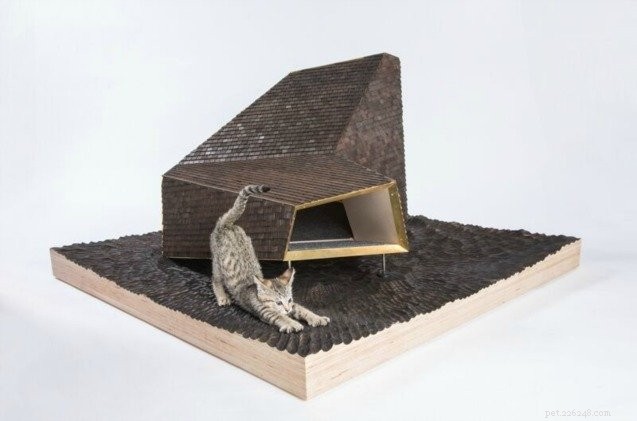 Giving Shelter: Art Exhibit Builds Safe Havens for Homeless Cats with Innovative Architecture