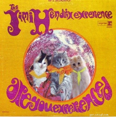 Cat-Themed Album Covers Prove Felines Rock