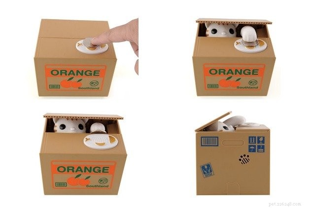 Top 10 Must‑Have Gifts for Cat Lovers – The Ultimate Holiday Guide