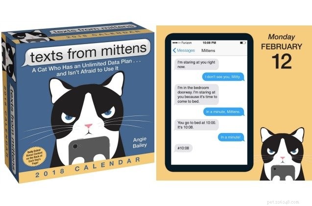Top 10 Must‑Have Gifts for Cat Lovers – The Ultimate Holiday Guide