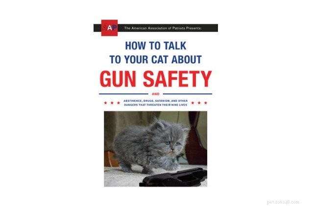 Top 10 Must‑Have Gifts for Cat Lovers – The Ultimate Holiday Guide
