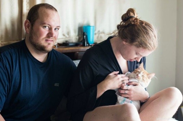 Colorado Couple Shares Natural Kitten Birth Story in Heartwarming Post
