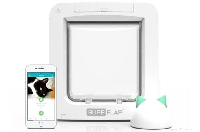 Set Your Pet’s Curfew with SureFlap: The Smart, App‑Controlled Pet Door
