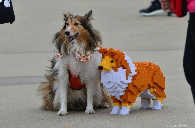 Create a Stunning Life‑Sized Lego‑Style Cat Replica