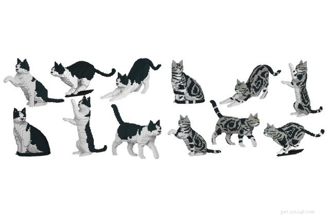 Create a Stunning Life‑Sized Lego‑Style Cat Replica