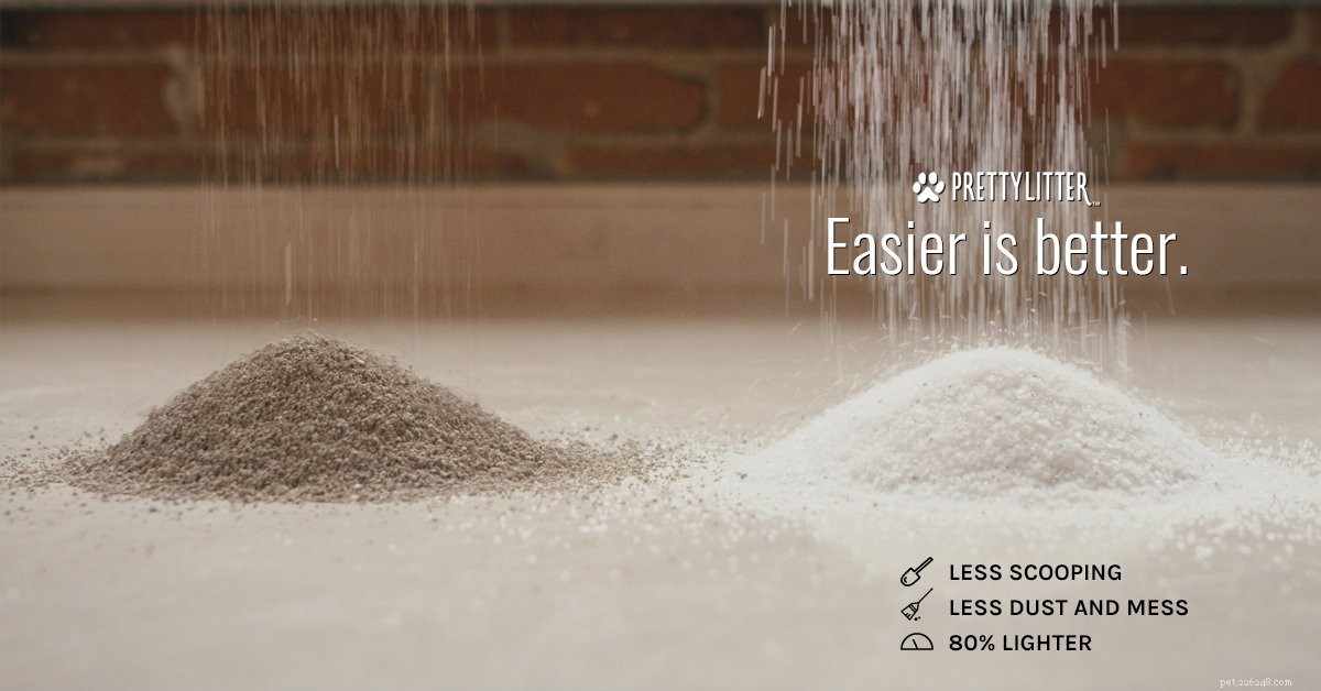 Solving Your Cat’s Litter Box Troubles: 7 Proven Solutions