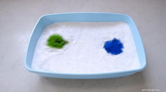 Solving Your Cat’s Litter Box Troubles: 7 Proven Solutions