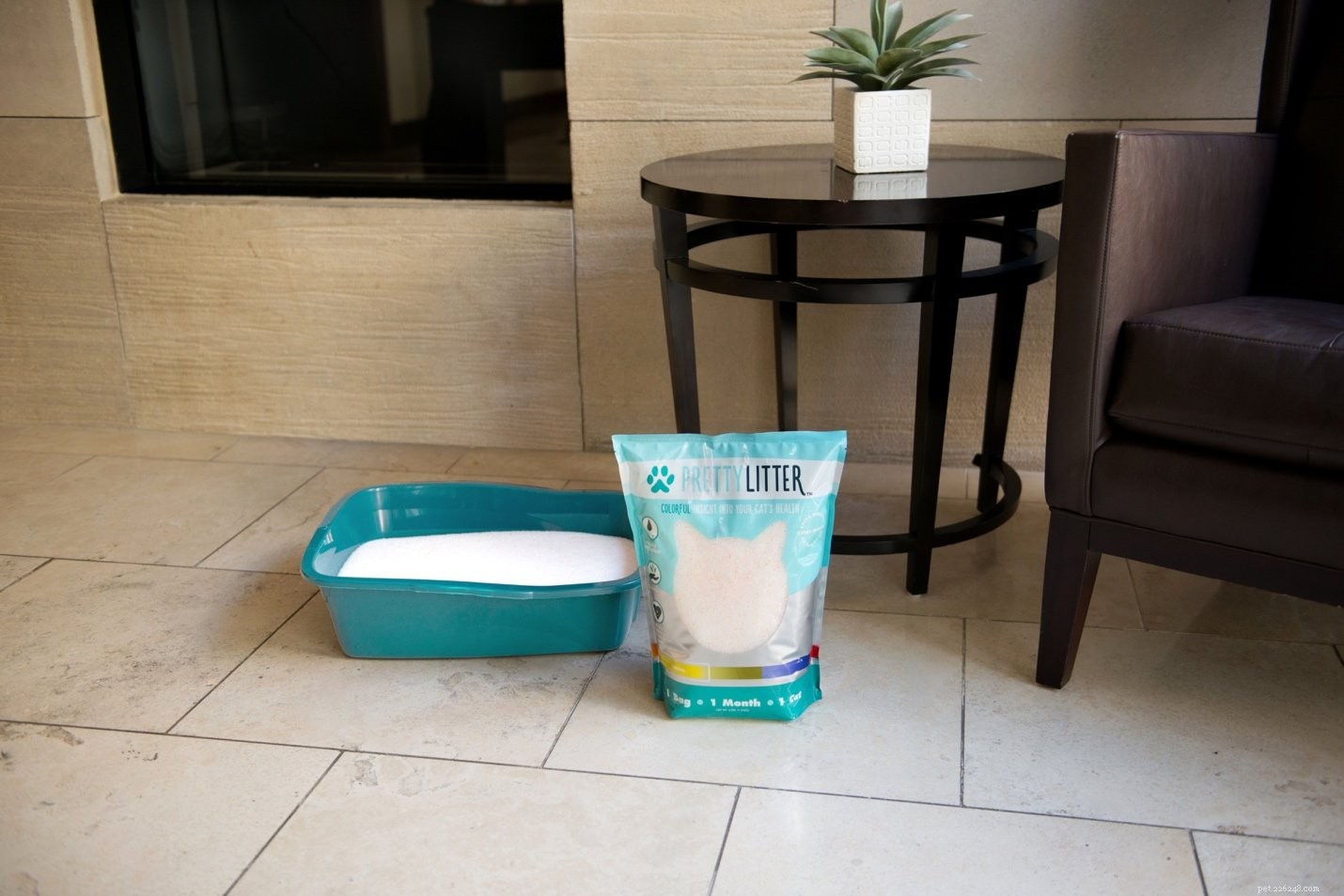 Solving Your Cat’s Litter Box Troubles: 7 Proven Solutions