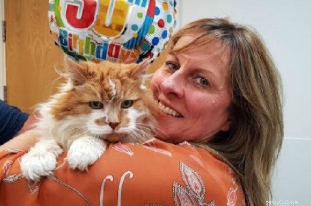 UK s Oldest Cat Celebrates 30th Birthday, Claiming European Record