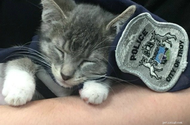 Troy Police Department Welcomes First Feline Officer: Kitten Sworn In