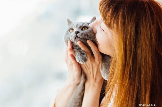 Is It Okay to Hug and Kiss Your Cat? Tips for Safe Cat Affection