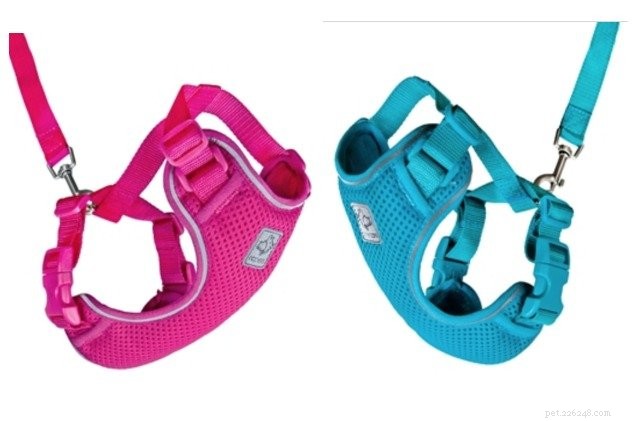 RC Pets Unveils Adventure Kitty Harness at SuperZoo 2018