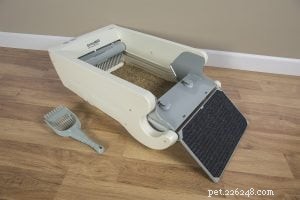 3 Innovative Litter Boxes Every Modern Cat Owner Should Consider