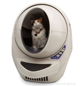 3 Innovative Litter Boxes Every Modern Cat Owner Should Consider