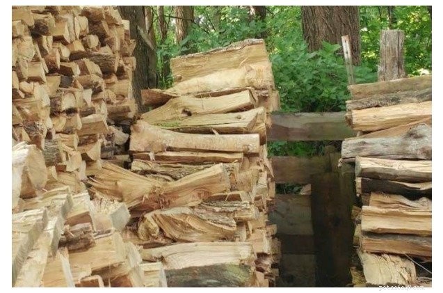 Hidden Cat Goes Viral: Find the  Where s Kitty?  Challenge on Twitter
