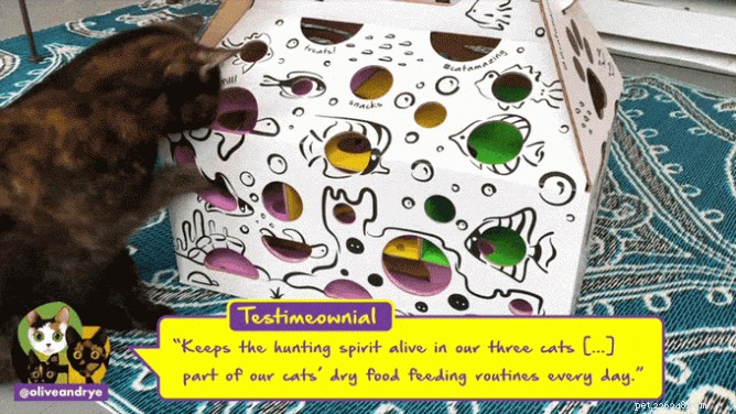 Explore the Epic Cat Puzzle Feeder: A Kickstarter Innovation That Sparks Endless Play