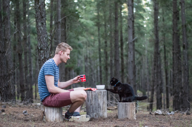 Meet Willow: The Aussie Cat Thriving in Van Life Adventures