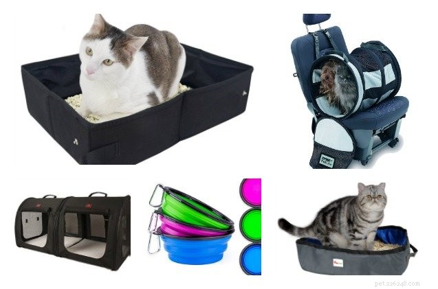 7 Must‑Have Items for Stress‑Free Cat Road Trips