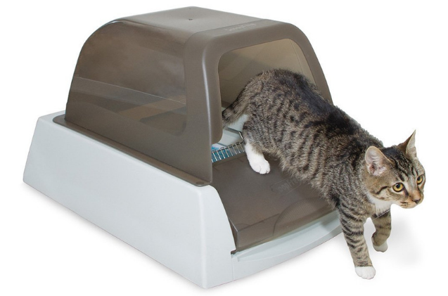 Top 10 Self‑Cleaning Cat Litter Boxes: The Best Choices for Effortless Hygiene