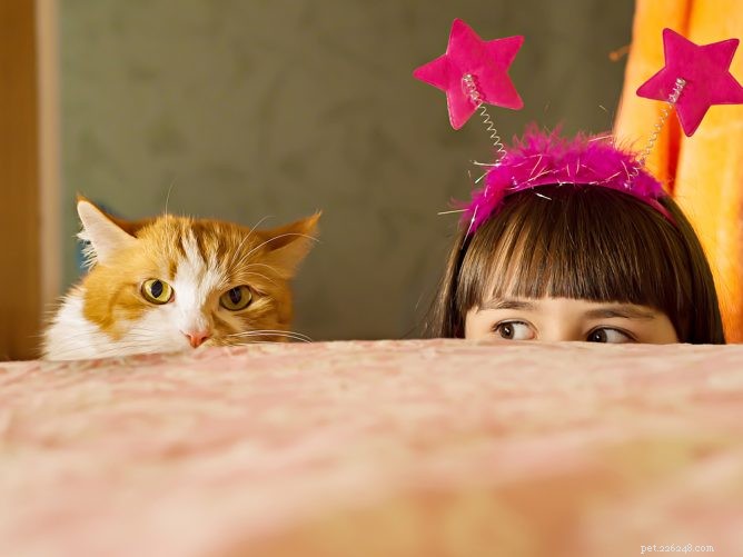 Teaching Your Children to Nurture Their Cat: A Step‑by‑Step Guide