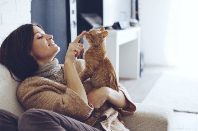 Sure Petcare Microchip Feeder: Precise Cat Portion Control for Healthy Weight
