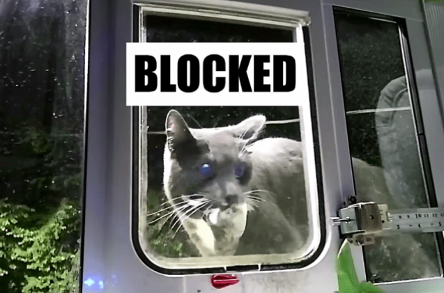 AI Cat Flap: Eliminating the Problem of Cats Bringing Dead Prey Home