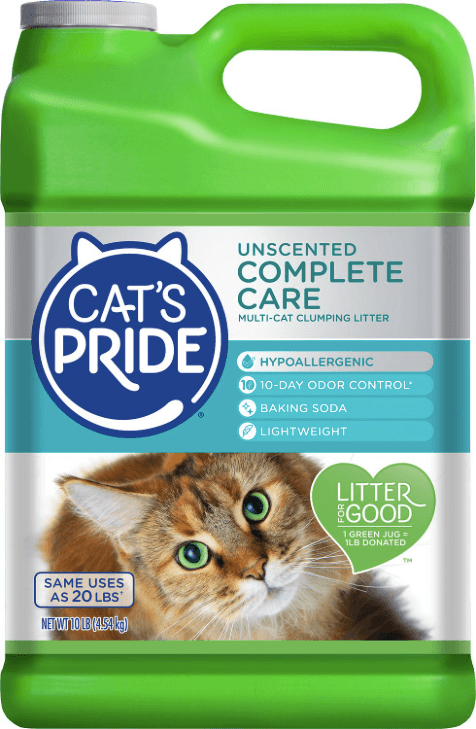 Essential Cat Adoption Supplies: A Complete Buying Guide