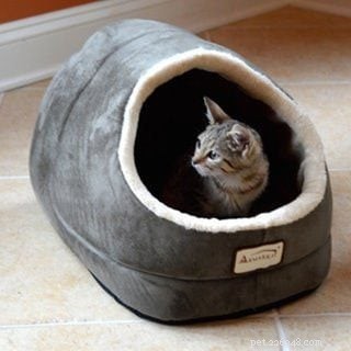 Essential Cat Adoption Supplies: A Complete Buying Guide