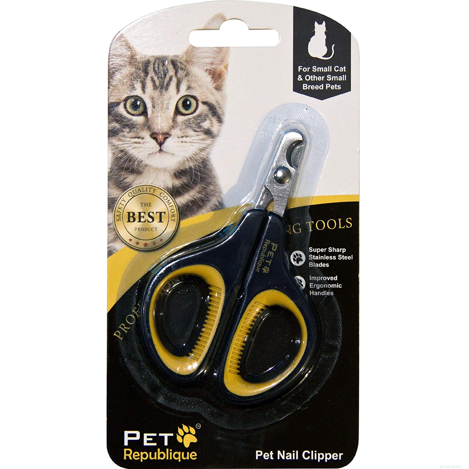 Essential Cat Adoption Supplies: A Complete Buying Guide