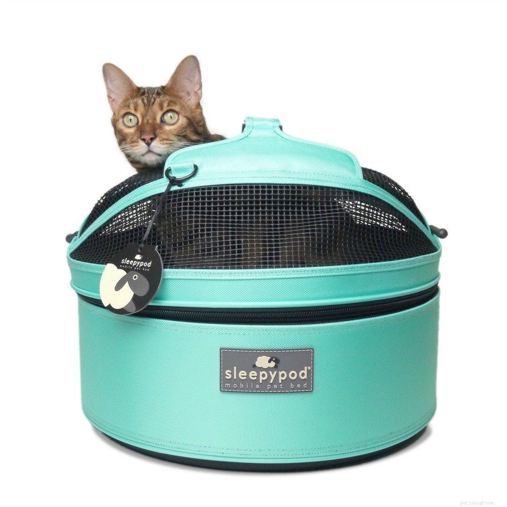 Essential Cat Adoption Supplies: A Complete Buying Guide