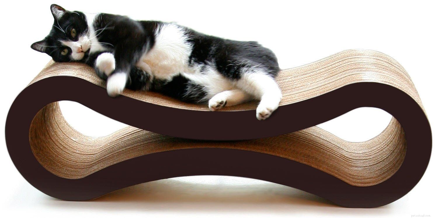 Essential Cat Adoption Supplies: A Complete Buying Guide