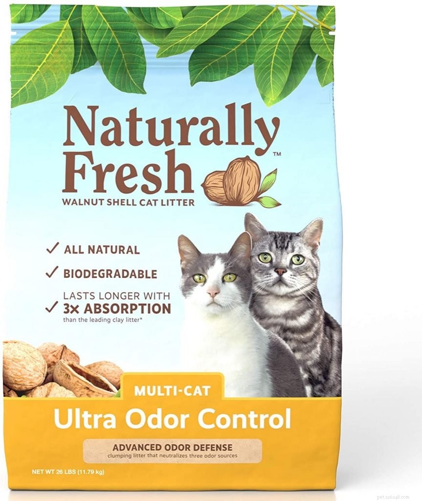 Top Eco-Friendly Cat Litters: Dust‑Free, Safe, and Sustainable